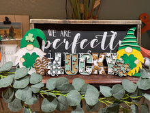 Load image into Gallery viewer, Lucky with Shamrocks