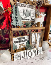 Load image into Gallery viewer, Classy Winter Christmas Tier Tray Set
