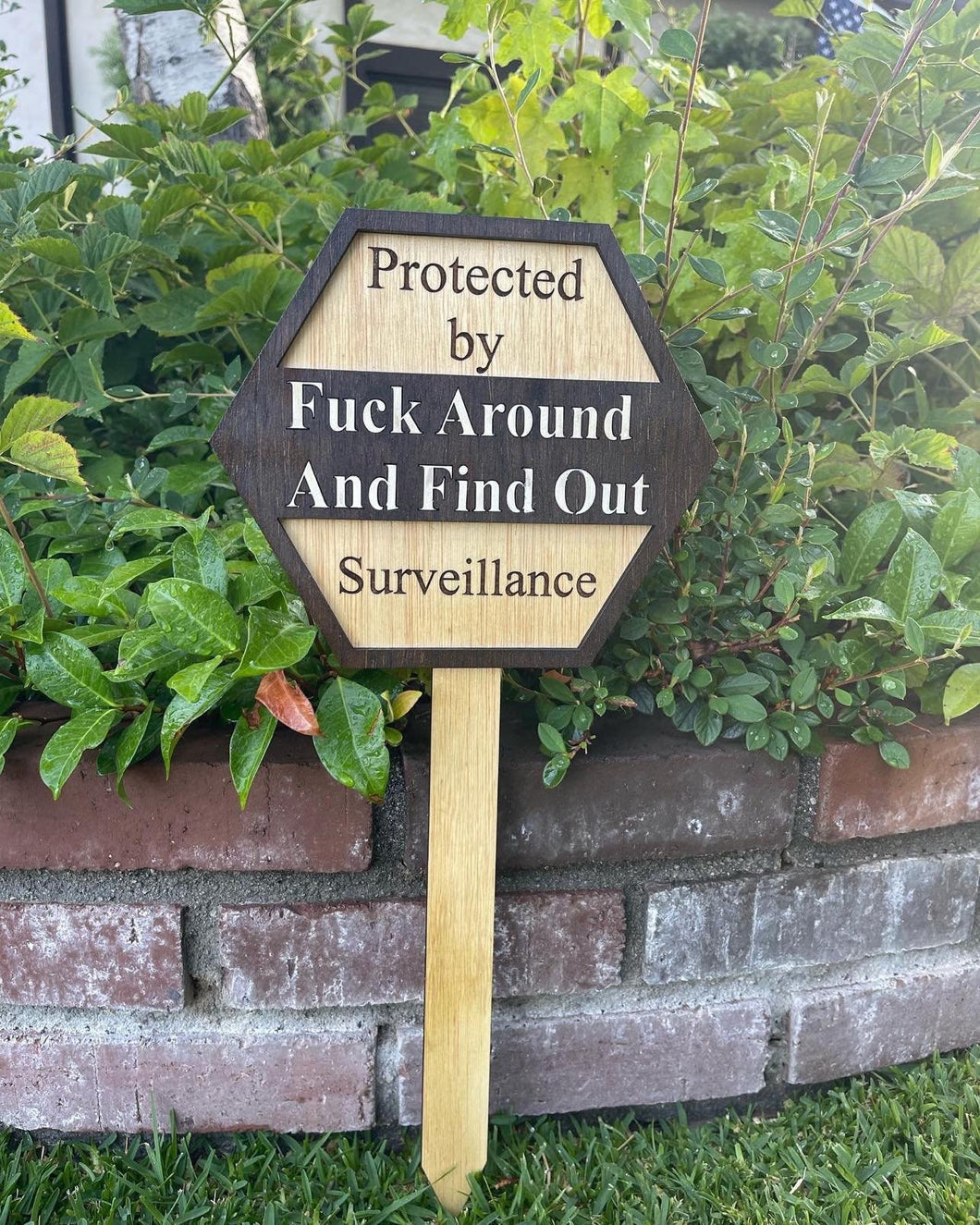 Surveillance Protection Yard Sign